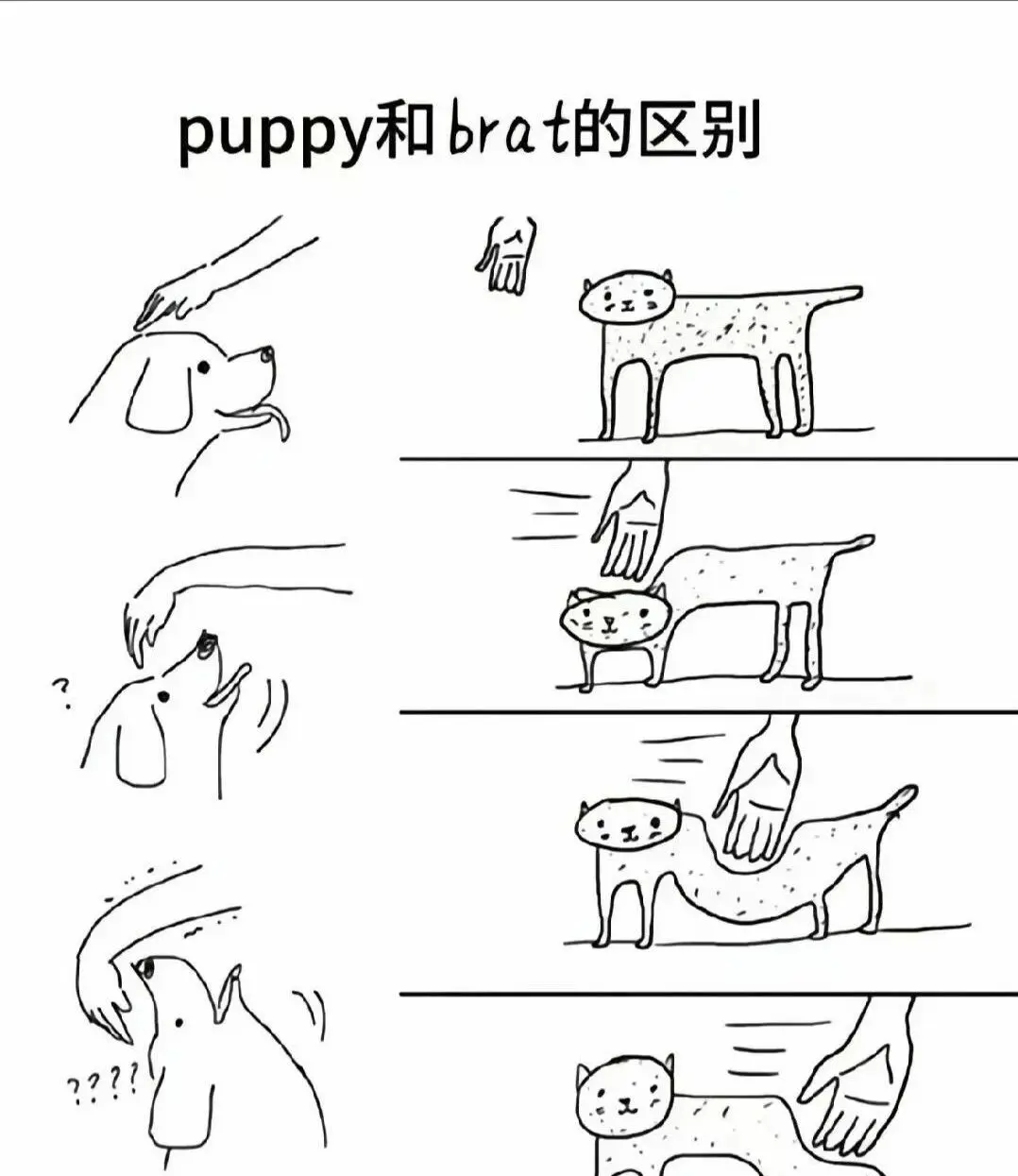 西檬之家m倾向是什么?探索你在字母圈的深层欲望 一