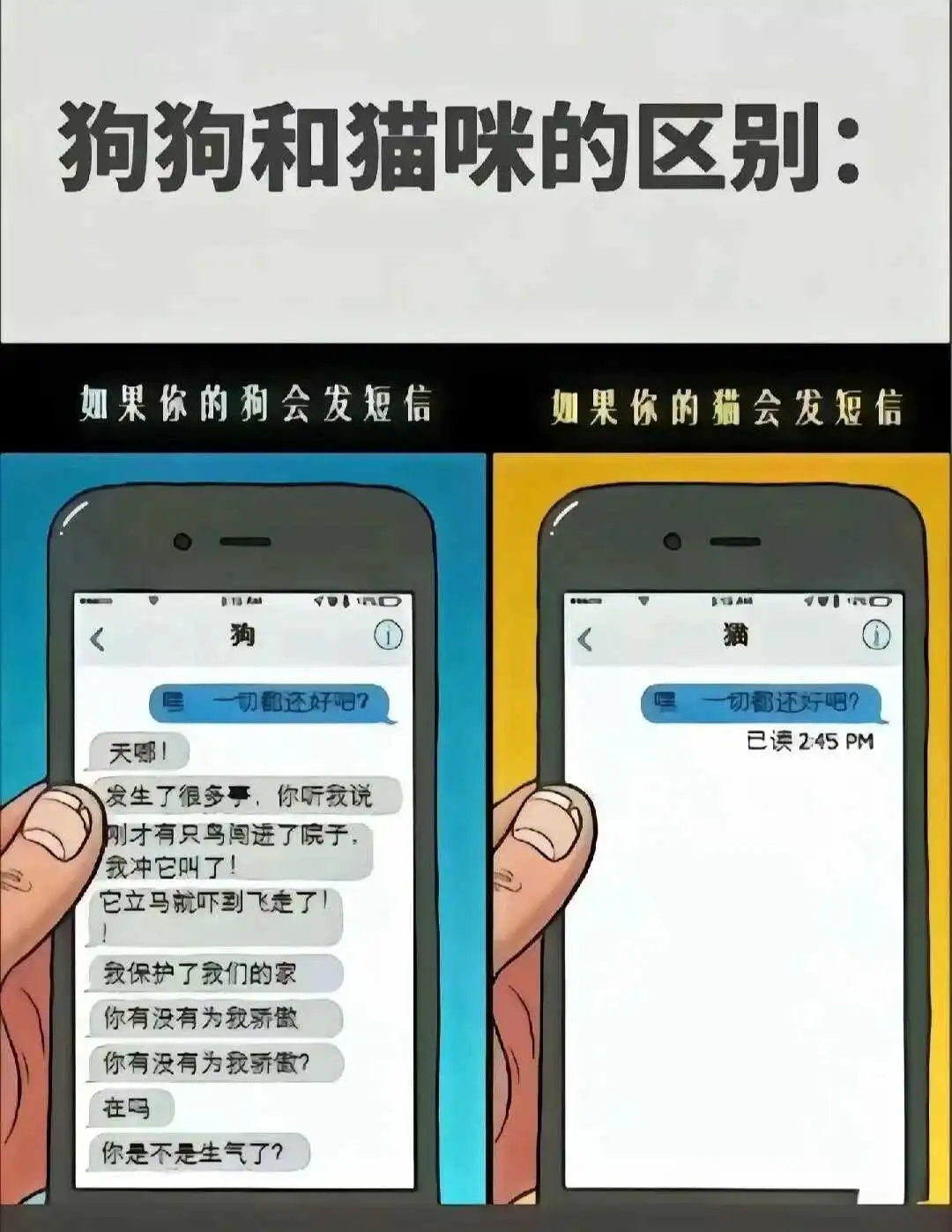 西檬之家k8猫系是什么?探索字母圈中的新兴亚文化 一